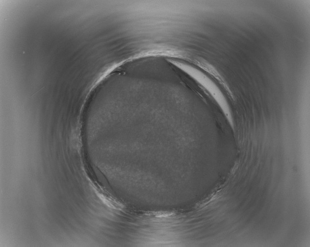 X0000060790436200512011710