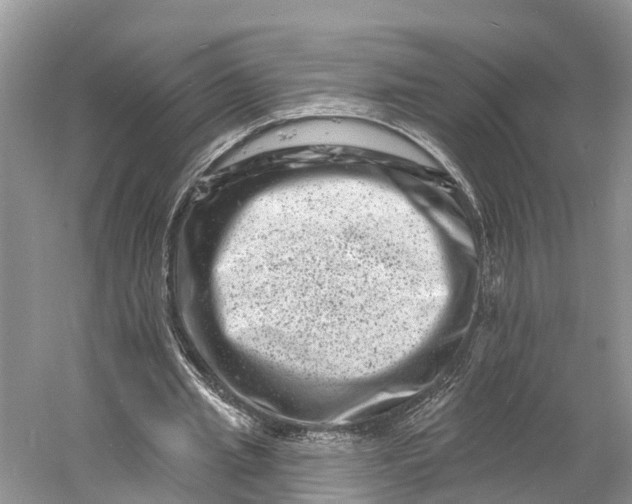 X0000060790437200512011710