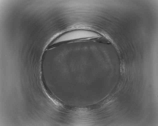 X0000060790438200512011710