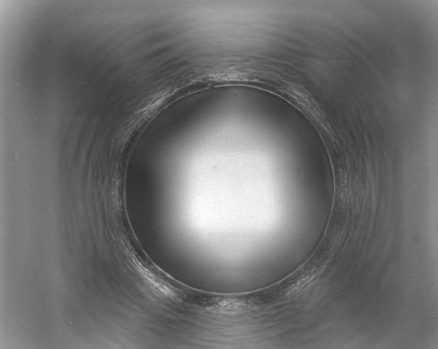 X0000060790441200512011710