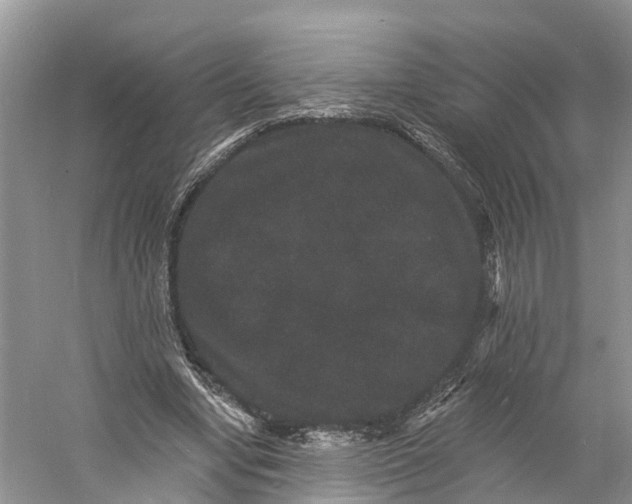 X0000060790442200512011710