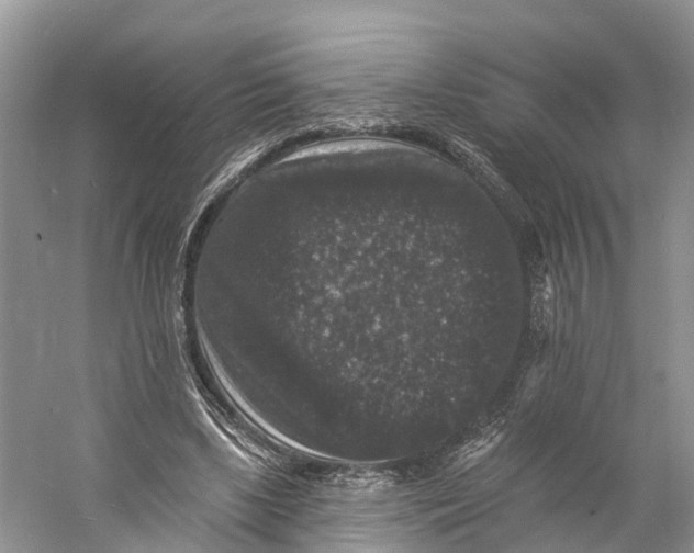 X0000060790443200512011710