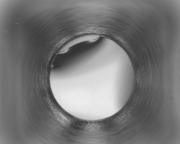 X0000060790445200512011710