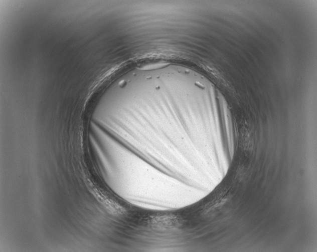 X0000060790446200512011710