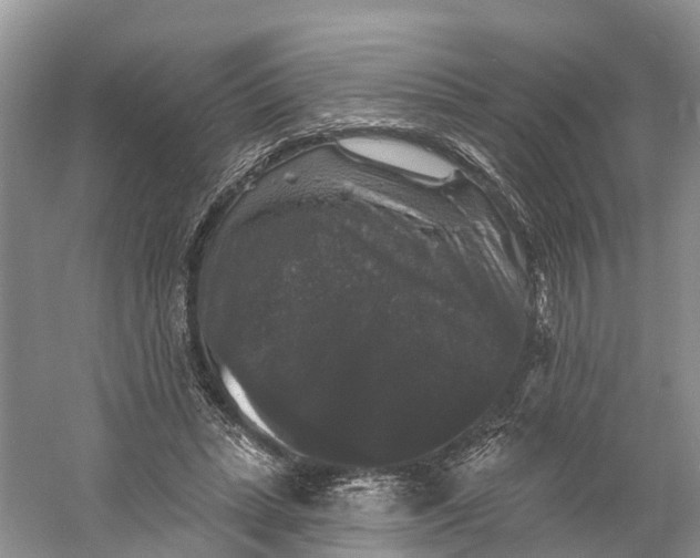 X0000060790447200512011710