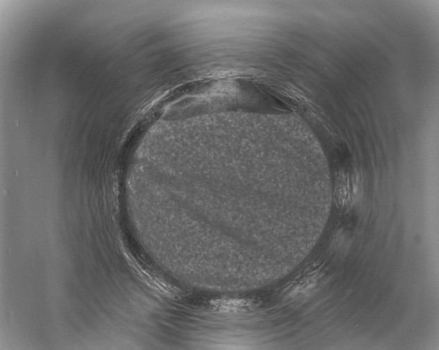 X0000060790448200512011710