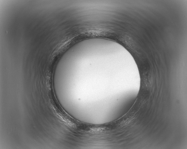 X0000060790450200512011710