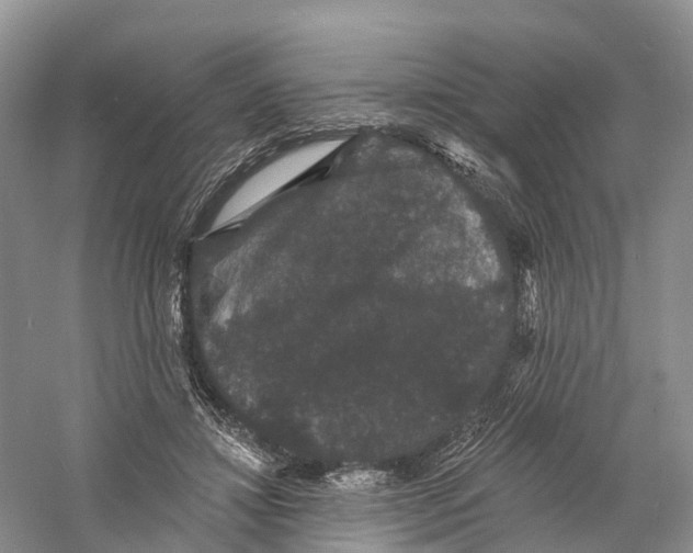 X0000060790452200512011710