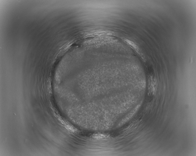 X0000060790453200512011710