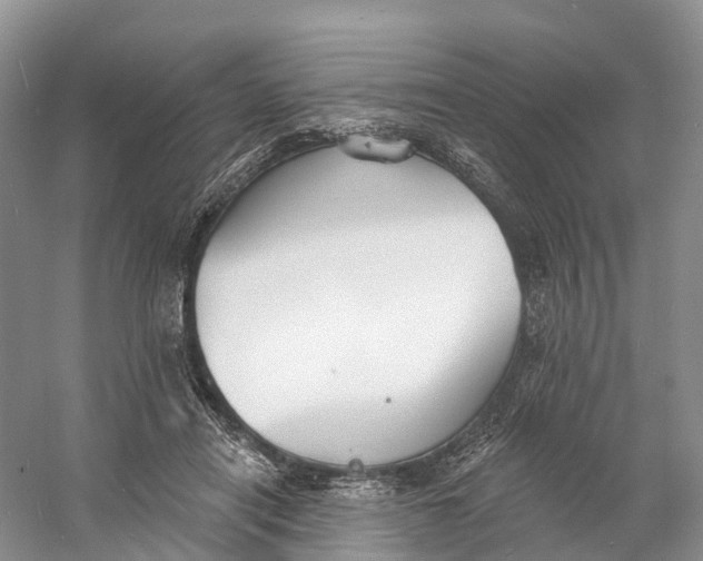 X0000060790454200512011710