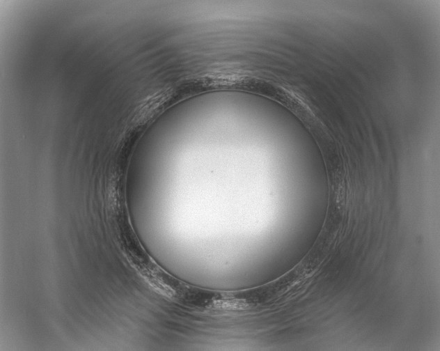 X0000060790455200512011710