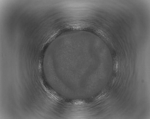 X0000060790456200512011710