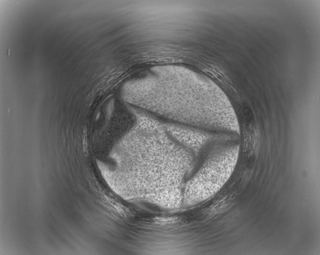 X0000060790457200512011710