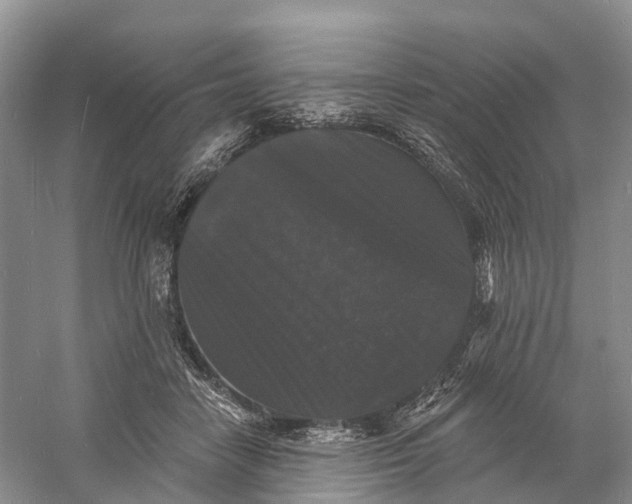 X0000060790458200512011710