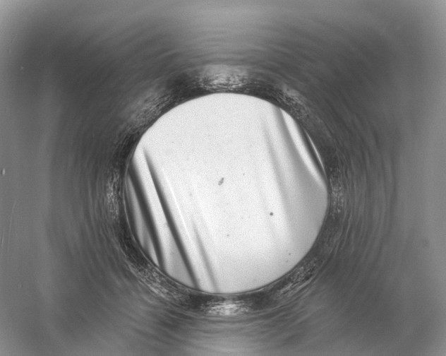 X0000060790460200512011710