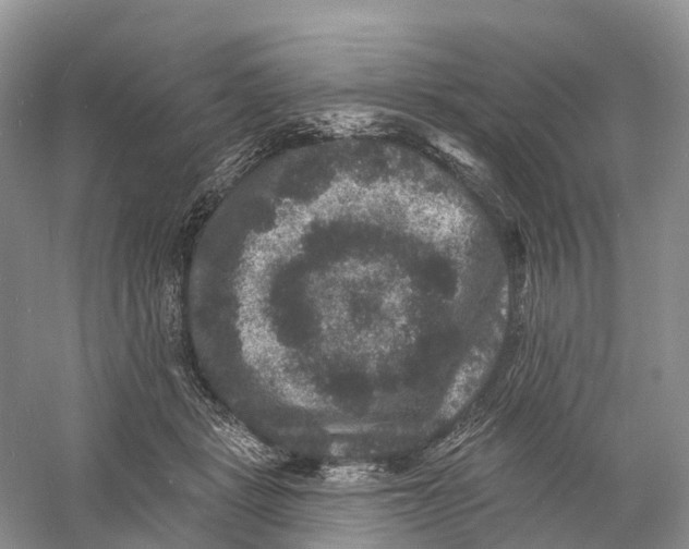 X0000060790461200512011710