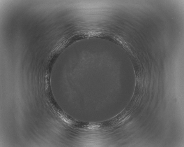 X0000060790462200512011710