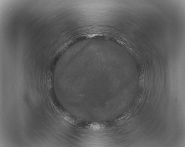 X0000060790464200512011710