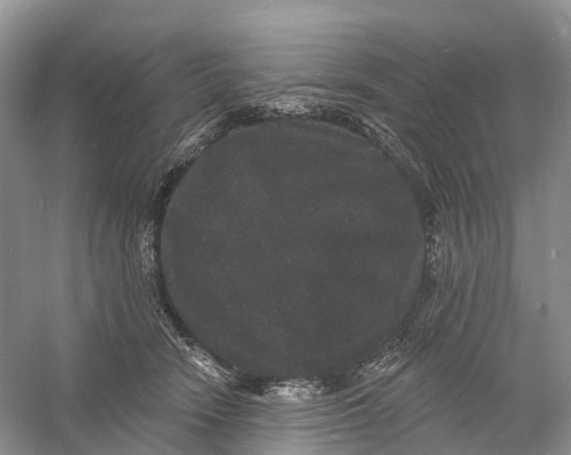 X0000060790466200512011711