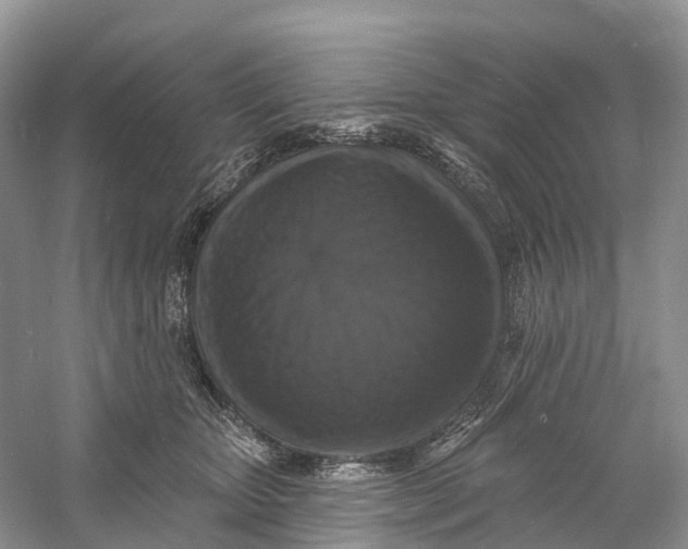 X0000060790467200512011711