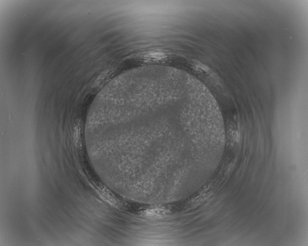 X0000060790468200512011711