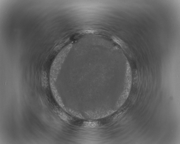 X0000060790469200512011711