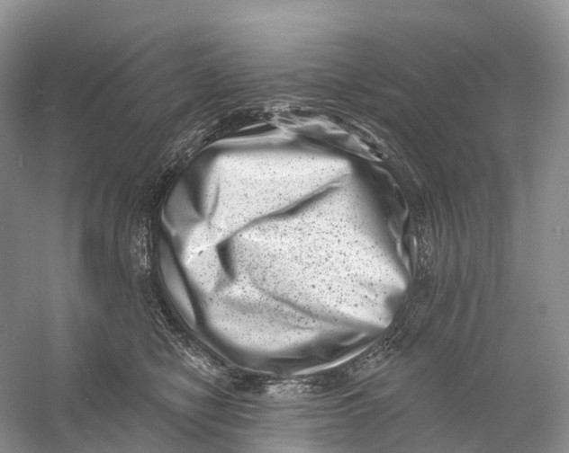 X0000060790470200512011711