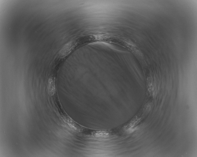 X0000060790471200512011711