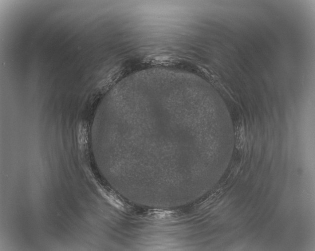 X0000060790472200512011711