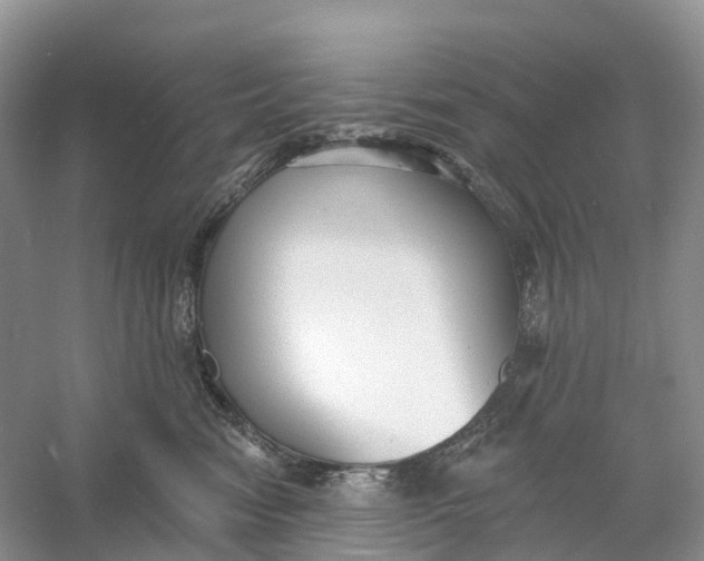 X0000060790474200512011711