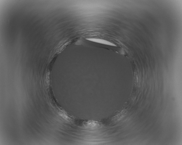 X0000060790475200512011711