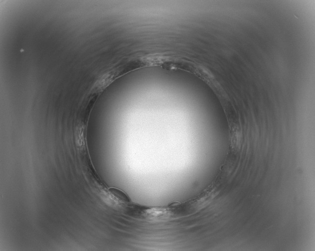 X0000060790477200512011711