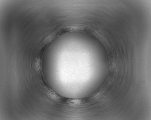 X0000060790478200512011711