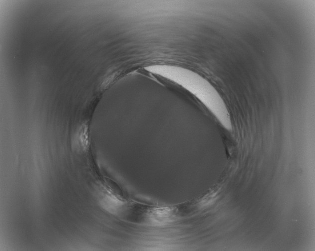 X0000060790479200512011711