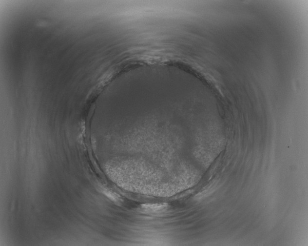 X0000060790480200512011711