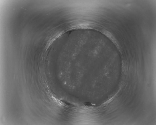 X0000060790481200512011710