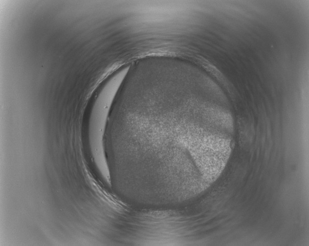 X0000060790482200512011710