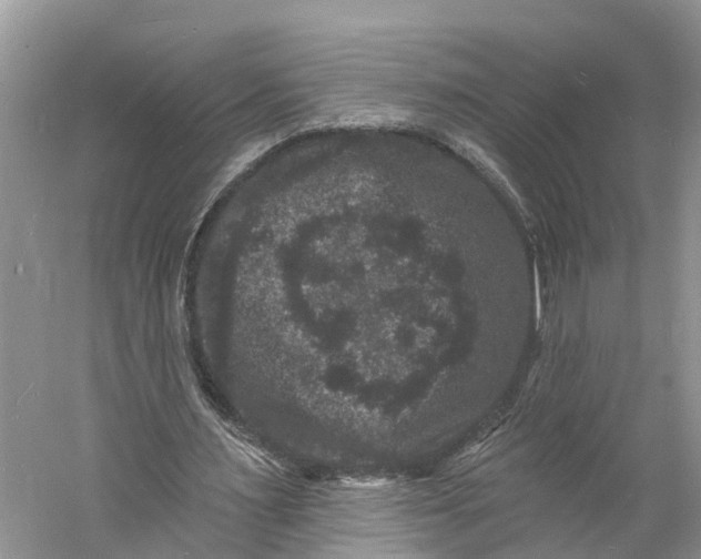 X0000060790483200512011710