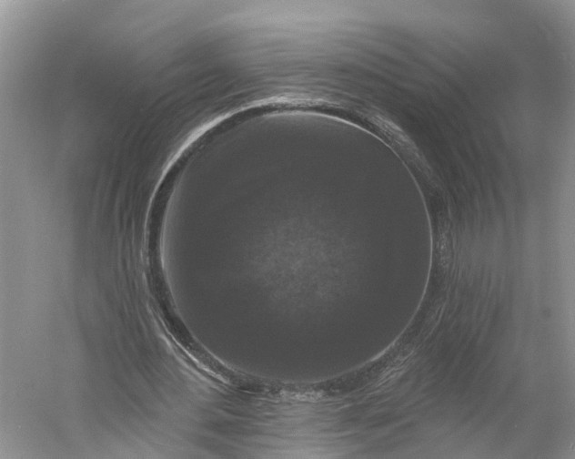 X0000060790484200512011710