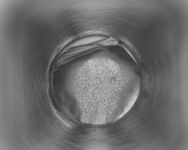 X0000060790486200512011710