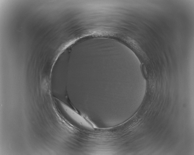 X0000060790488200512011710