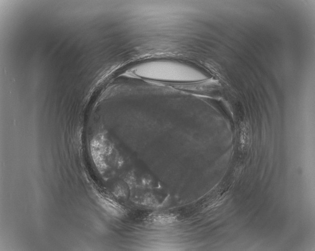 X0000060790491200512011710