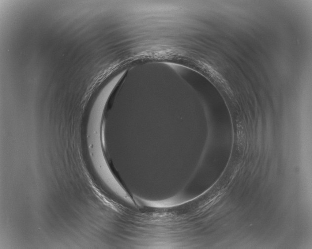 X0000060790493200512011710