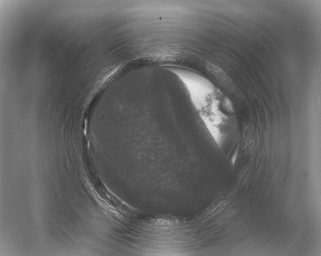 X0000060790494200512011710