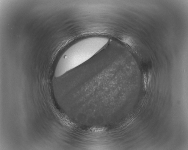 X0000060790495200512011710