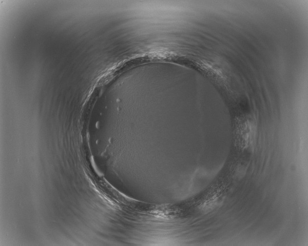 X0000060790496200512011710