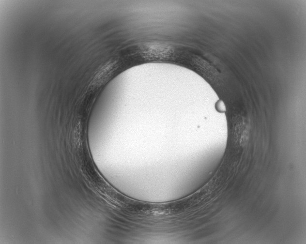 X0000060790498200512011710