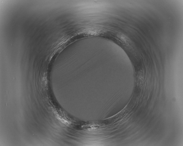 X0000060790500200512011710