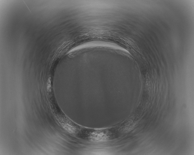 X0000060790502200512011710