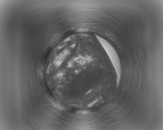 X0000060790503200512011710